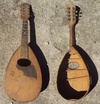 mandolin - before